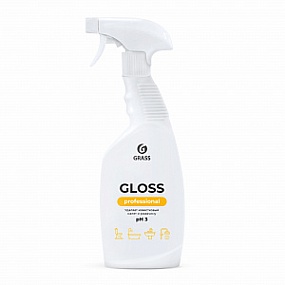Чистящее средство "Gloss" Professional 600 мл